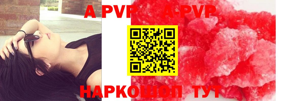Alfa_PVP VHQ  A PVP СК КРИС  Вход с VPN  Сыктывкар 
