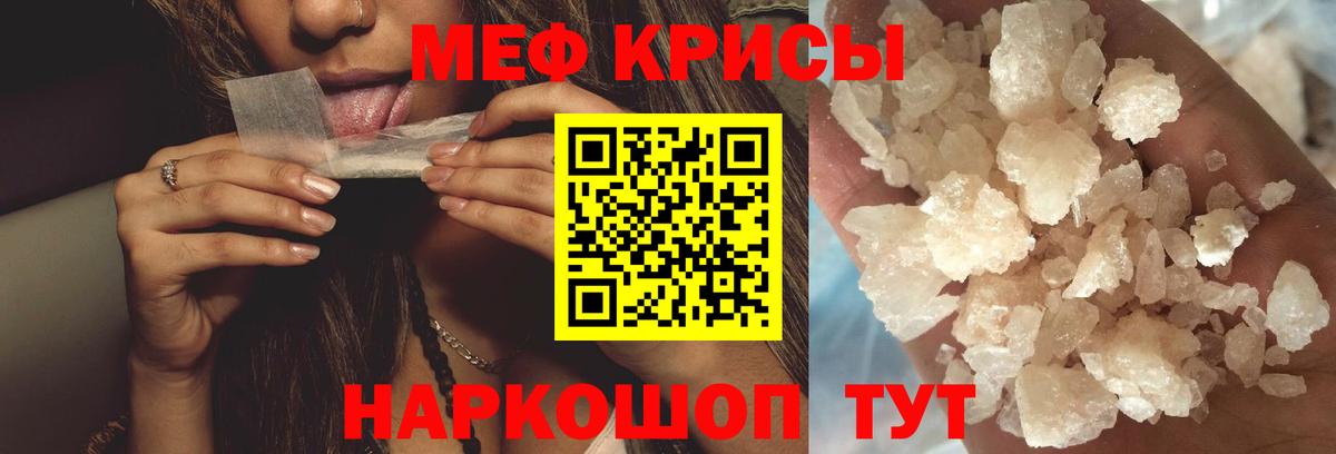 МЕФ Сыктывкар
