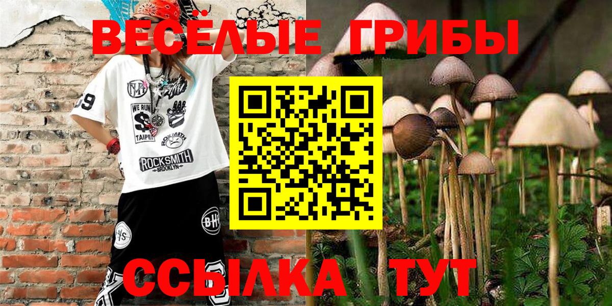Сыктывкар  Псилоцибиновые грибы Psilocybe  Псилоцибиновые грибы мухоморы  Вход с VPN 